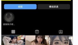 网红塌房被爆料视频大全,揭秘网络红人背后的真相